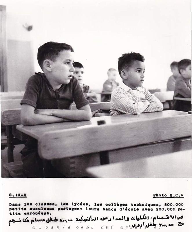 Algerie propagande 004.jpg